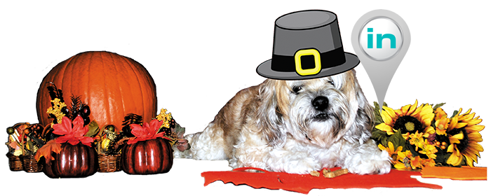 Peluche Thanksgiving Very Important Pet Integrate News